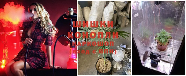 дмт Карпинск