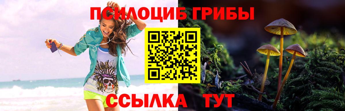 Псилоцибиновые грибы Cubensis Кинешма