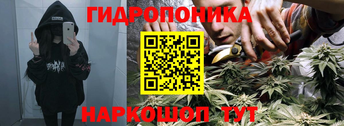 Марихуана индика Кинешма